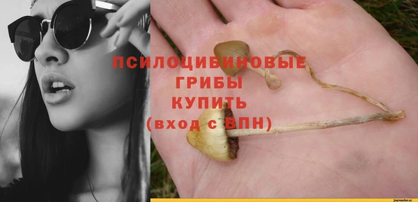 сатива Билибино