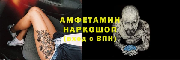 шишки Майский
