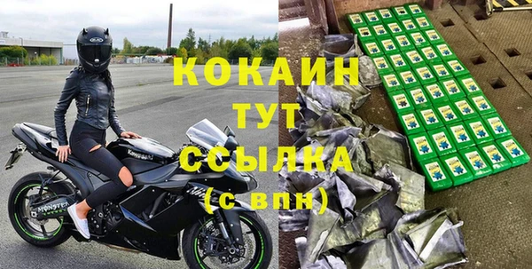 МДПВ Щигры