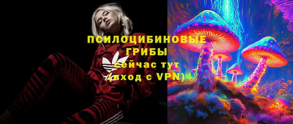 амф Пестово