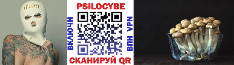 купить  сайты  Шебекино  ОМГ ОМГ как зайти  Галлюциногенные грибы мухоморы 