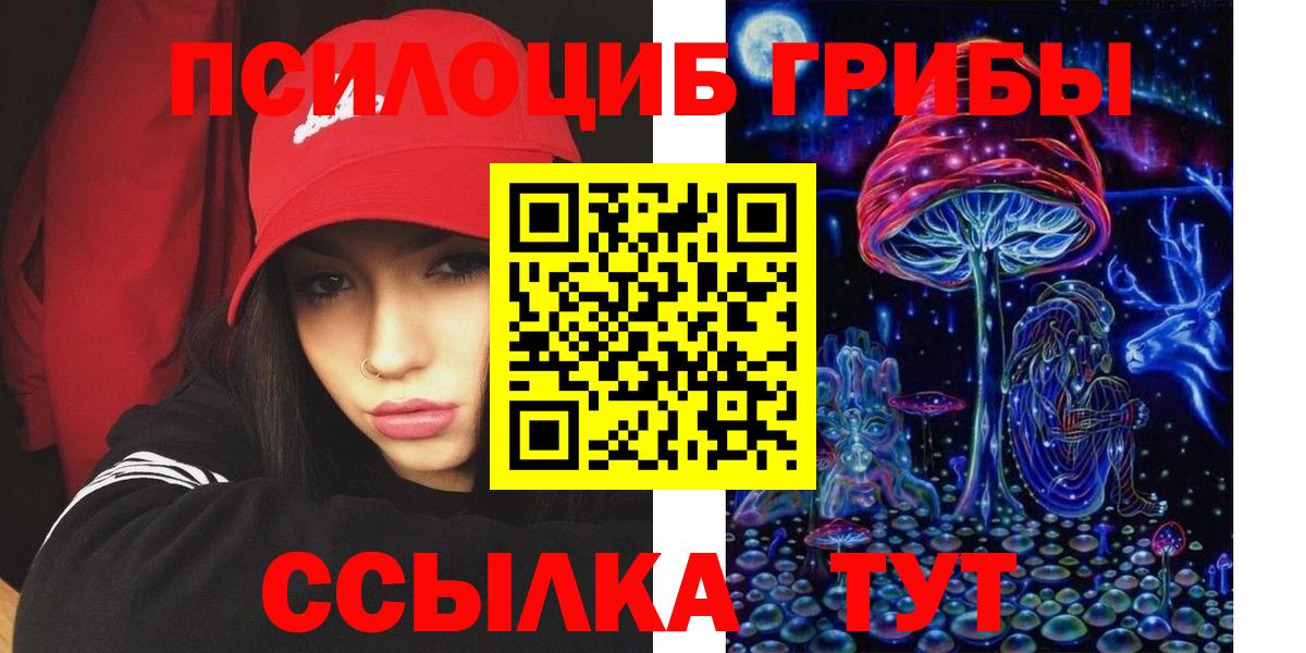 Псилоцибиновые грибы GOLDEN TEACHER  Шебекино 