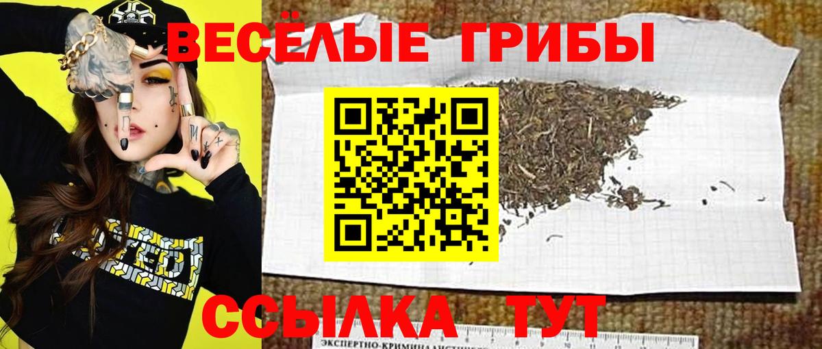 Шебекино  закладка  Галлюциногенные грибы мицелий  Вход с VPN  Псилоцибиновые грибы MAGIC MUSHROOMS 